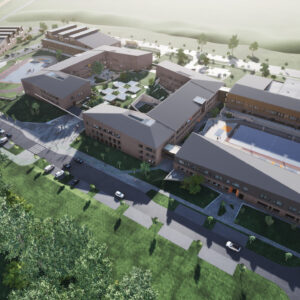 madartavlat 03 scaled