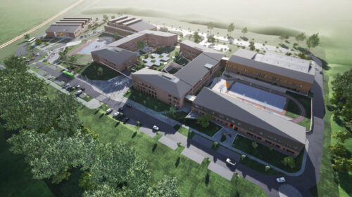 madartavlat 03 scaled